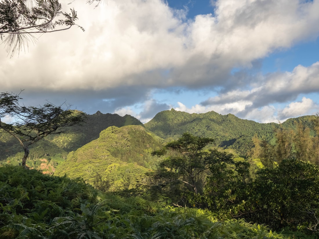 The mountainous, forested interior of Rarotonga, Cook Islands